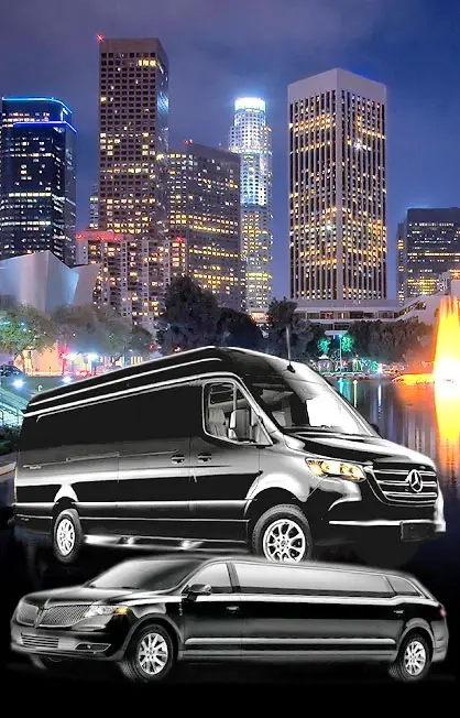 la limousine service