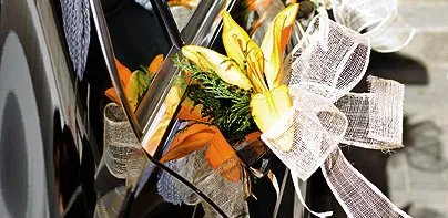 sf bay area black car service